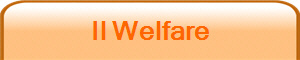 Il Welfare